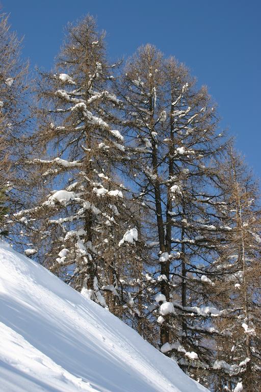 Madame Vacances Lodges Des Alpages La Plagne Exterior photo